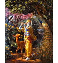 Lord Krishna - The Object of Meditation