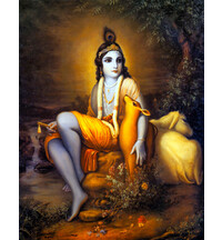 Gopala Krishna