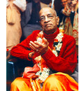 Srila Prabhupada in New York, Red Sweater