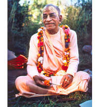 Srila Prabhupada in France, Holding a Marigold Flower