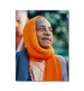Srila Prabhupada with Orange Shawl Drapped around Head