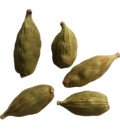 Cardamom -- Exotic Indian Spice