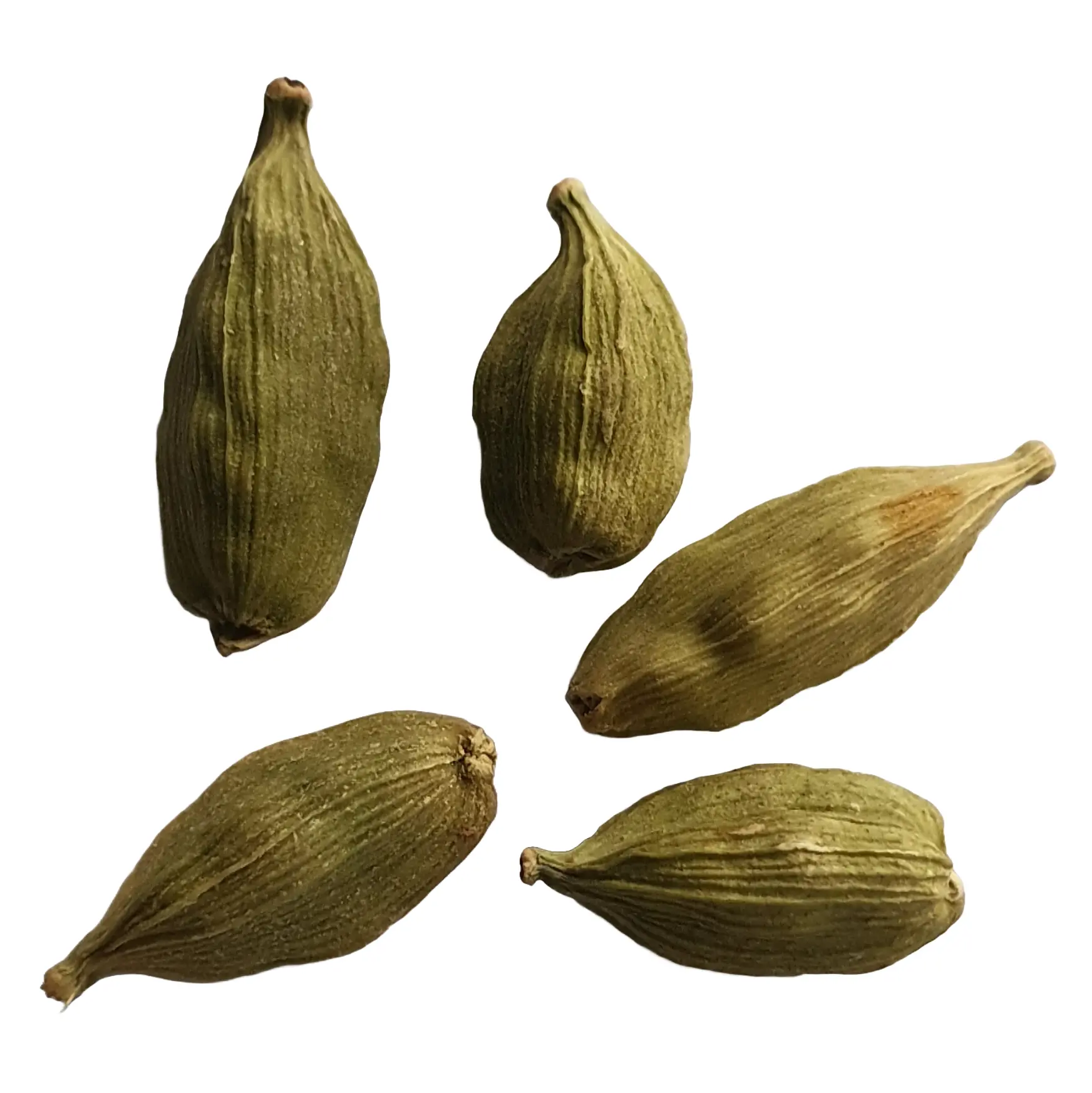 Saffron (Kesar) -- Exotic Indian Spice